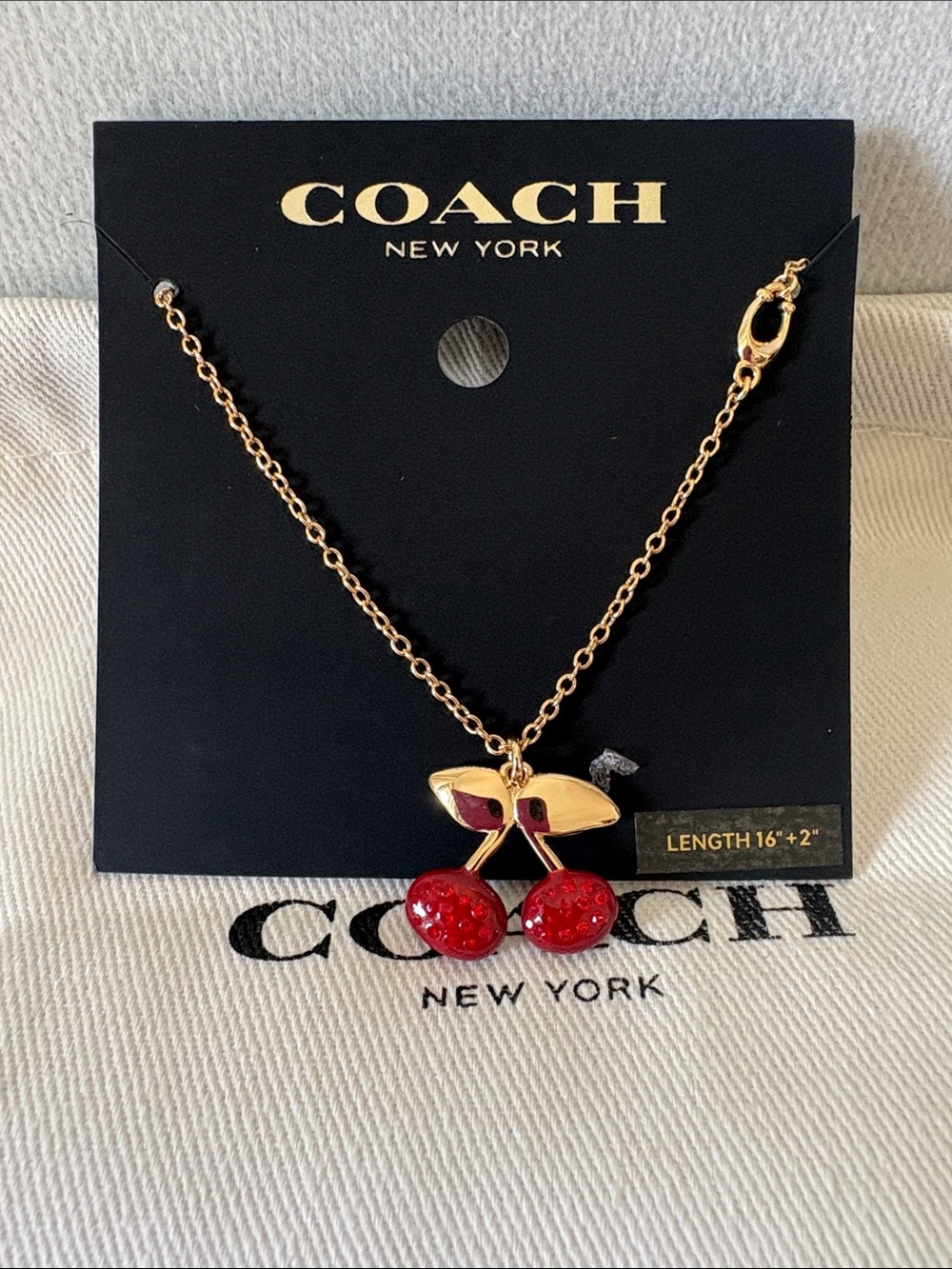 Coach Cherry Necklace